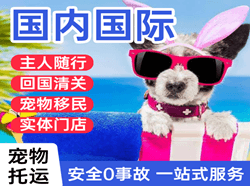龙湾机场快运国际宠物托运 【国
